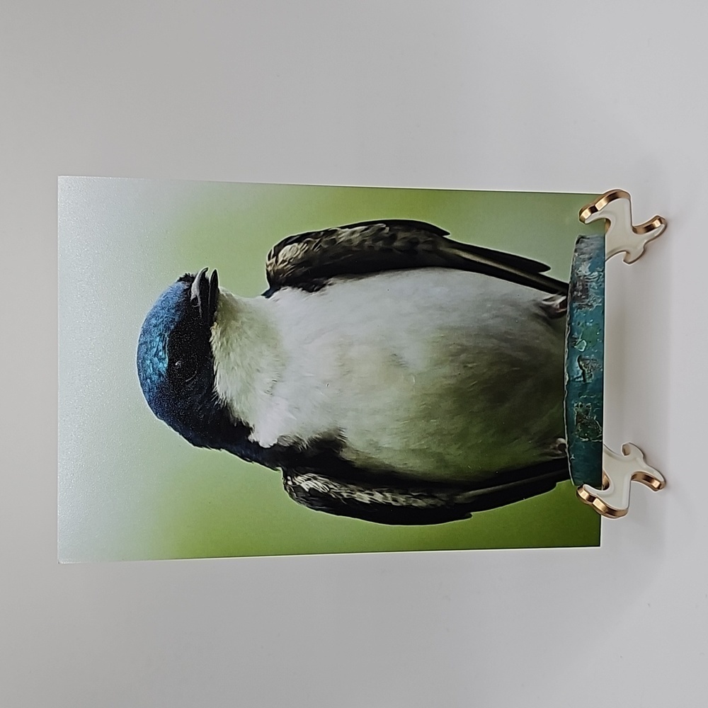 Tree Swallow Blue Bird Oil Painting Print‎